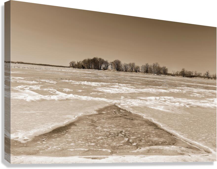 Frozen River Canvas Print