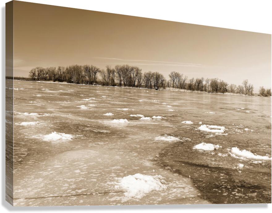 Frozen River Canvas Print