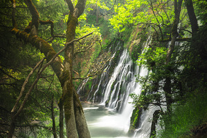 Magic at Burney Falls