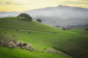 The Green Hills of Alameda County