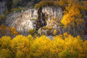 Water Fall