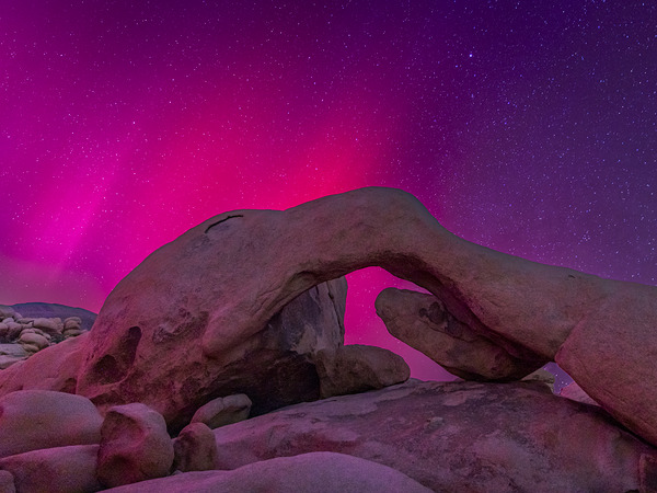 The Arch Lights by Light and Magic Art