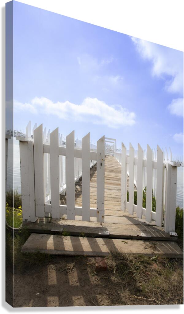 The Gate Canvas Print