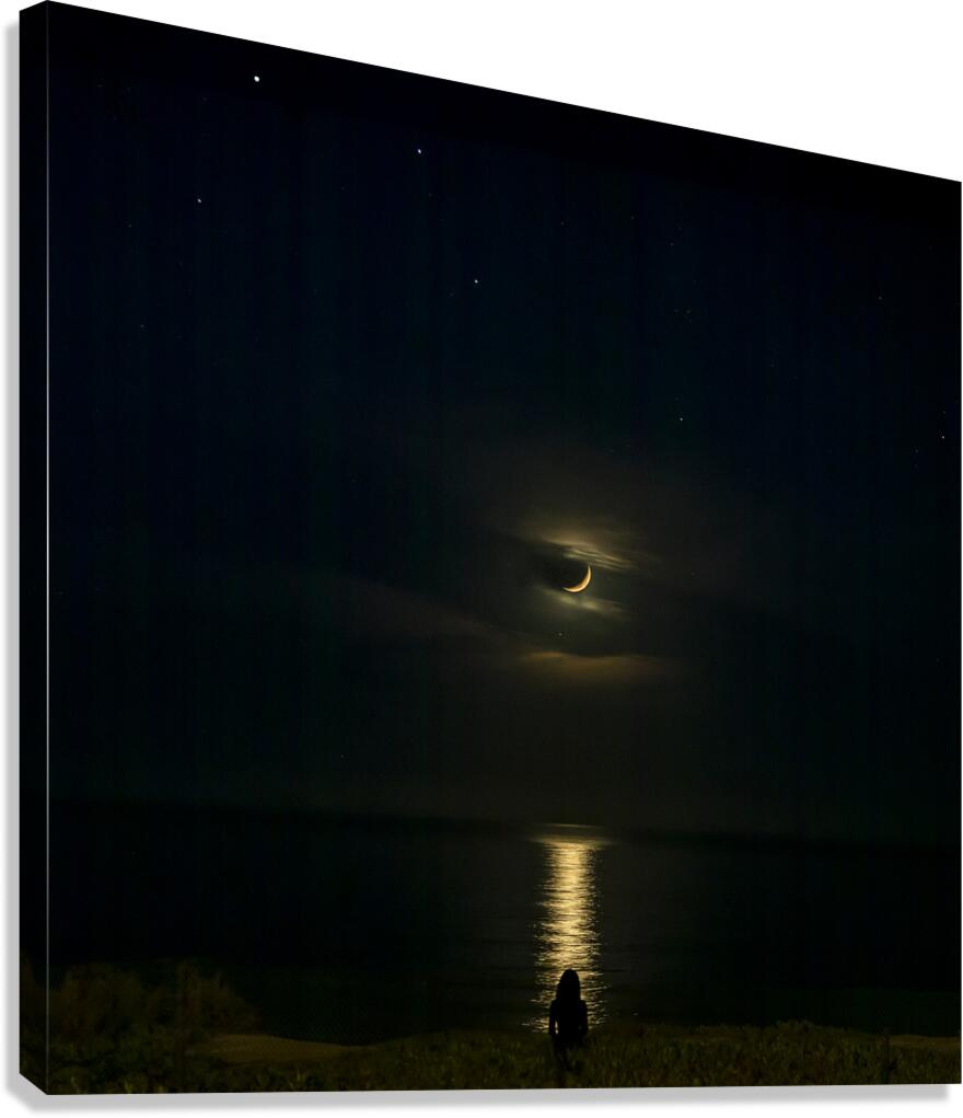 Moonlit View Canvas Print