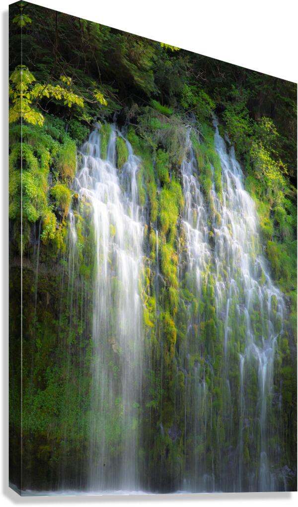 Mossbrae Canvas Print
