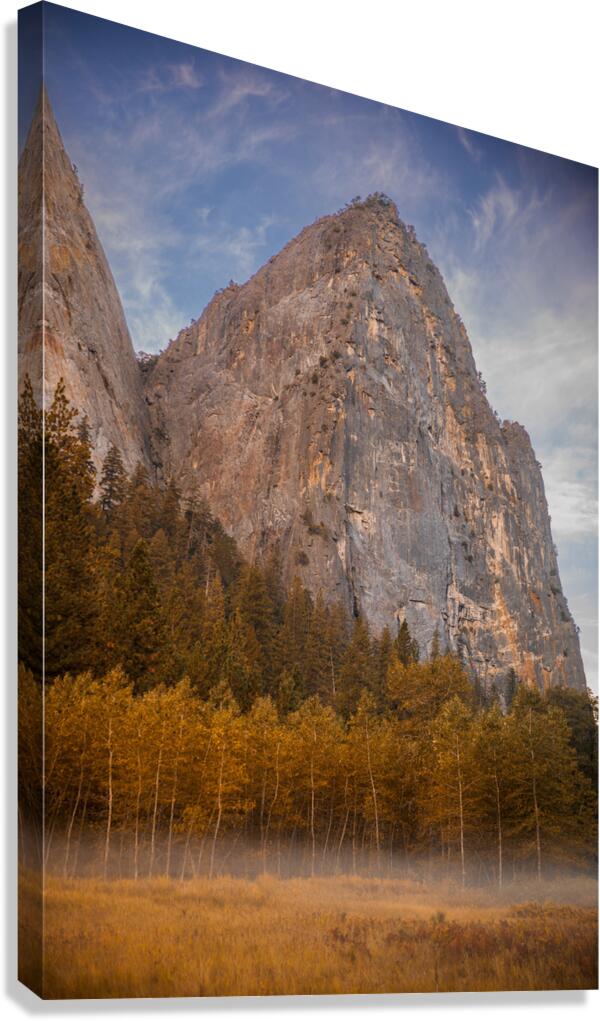 Cathedral Canvas Print