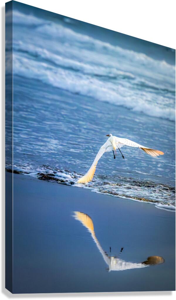 Sunset Takeoff Canvas Print