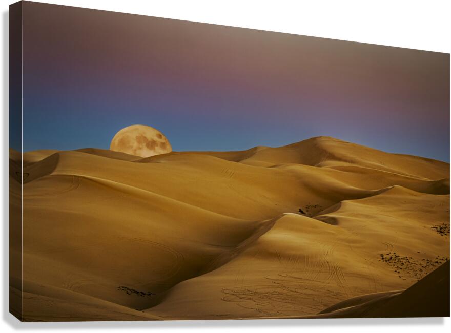 Dune Moon Canvas Print