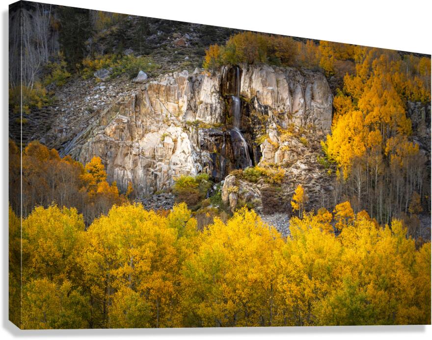 Water Fall Canvas Print