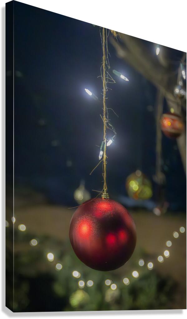 Christmas Magic Canvas Print