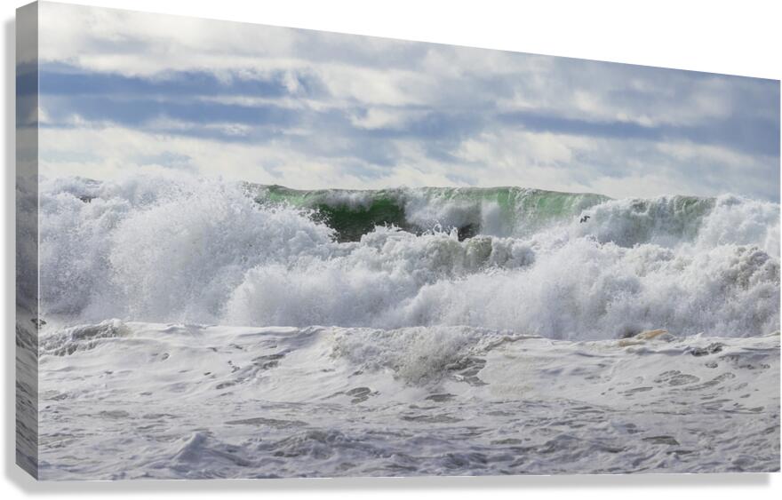 Raw Power Canvas Print