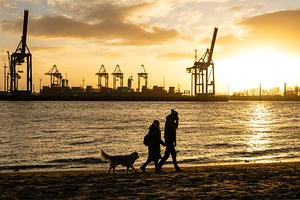 People walking their dog at the Elbe River in Hamburg in front of harbor district at sunset