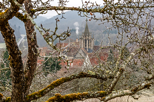 Historic monastery of Bebenhausen seen through tree branches in winter