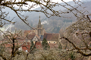 Historic medieval monastery of Bebenhausen seen through tree branches in winter