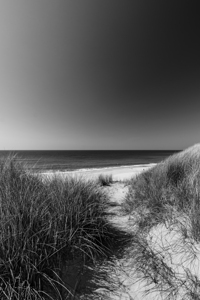 Black and white shot of dune landscape and ocean on the island of Sylt in North Germany