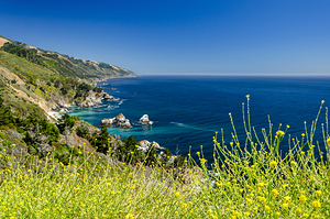 Beautiful bay at the Pacific Ocean alongside the famous highway one in California United States