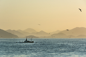 Fishing boat and seagulls on the Atlantic Ocean at sunrise in Rio de Janeiro in Brazil 