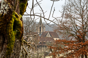 Ancient monastery of Bebenhausen seen through tree branches in winter
