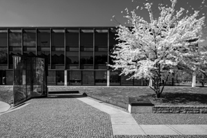 Black and White Spring