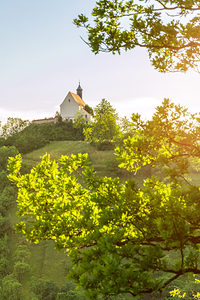 Beautiful chapel Wurmlinger Kapelle on a steep hill framed by scenic tree branches at sunset