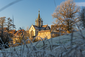 Historic medieval monastery of Bebenhausen in gorgeous winter landscape at sunrise 