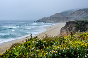 Secluded bay and beach at the Pacific Ocean in California on a foggy day