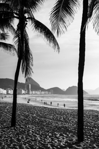 Black and white shot of palm trees at the promenade of Copacabana Beach in Rio de Janeiro