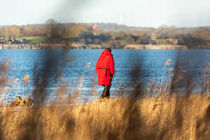 Lone person walking through coastal landscape at the Baltic Sea