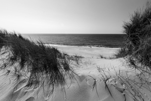 Black and white shot of dune landscape and ocean on the island of Sylt in Northern Germany