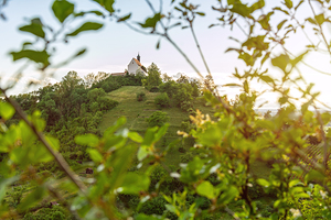 Picturesque chapel Wurmlinger Kapelle on a steep hill framed by scenic tree branches at sunset