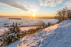 Winter Landscape