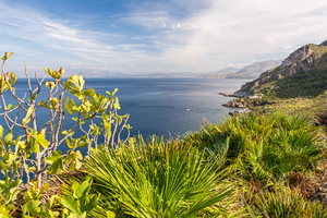 Zingaro Bay Sicily