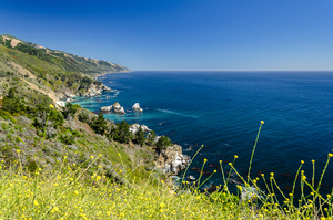 Pacific Coastline