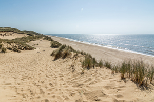 Dunes on Sylt