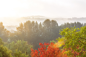 Autumn