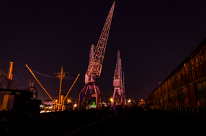Night Cranes