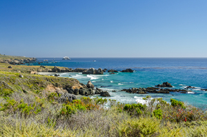 Californian Coastline