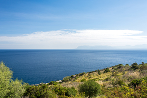 Mediterranean