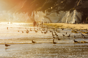 California Sunset