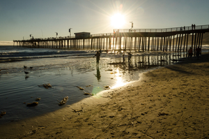 California Sunset