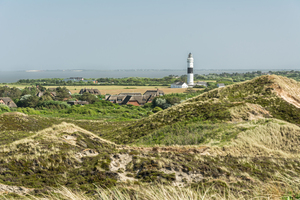Lighthouse in the Dunes