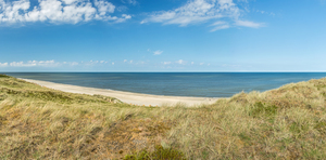 Ocean Panorama