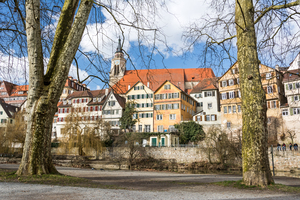 Old Town View