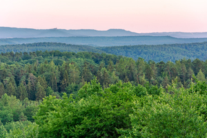 Green Hills at Dusk