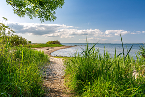 Scenic hiking trail alongside the Baltic Sea in Northern Germany