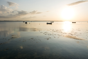 Calm Bay
