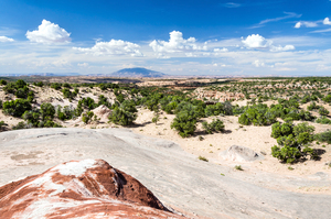 Rocky Desert