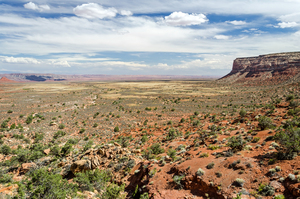 Desert Landscape