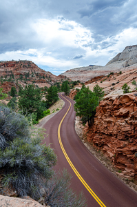 Curvy Desert Road