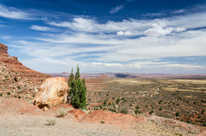 Rock in the Desert